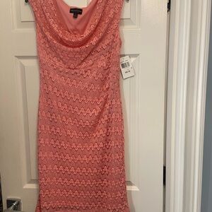 Adrianna Papell Pink Lace Dress